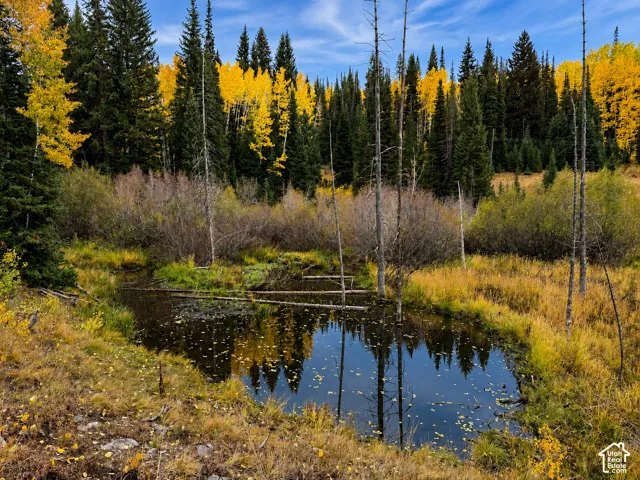 12490 E Old Stage Rd, Brighton, Utah 84121