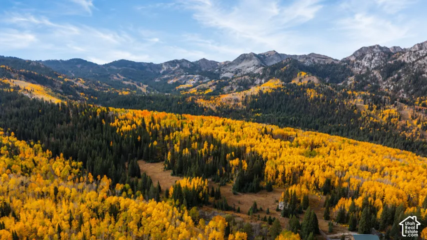12490 E Old Stage Rd, Brighton, Utah 84121