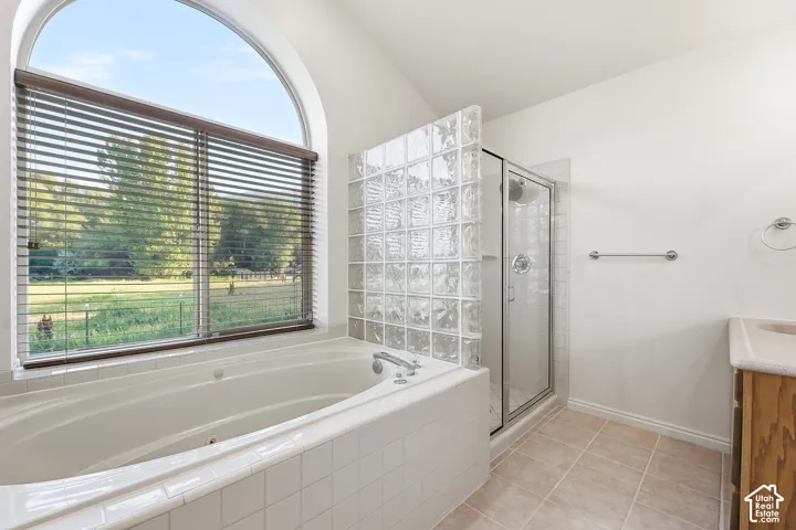 Primary Bathroom 1