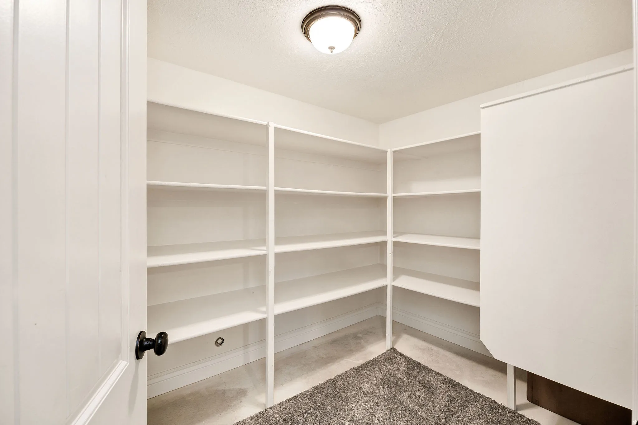Basement storage room with extensive built-in shelving, neutral wall paint, and gray carpeting