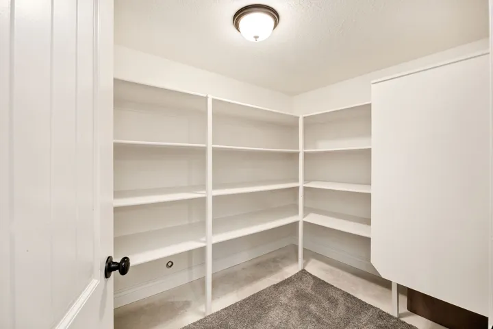 Basement storage room with extensive built-in shelving, neutral wall paint, and gray carpeting