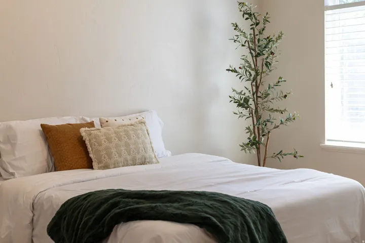 Neutral wall tones complement natural light from the window