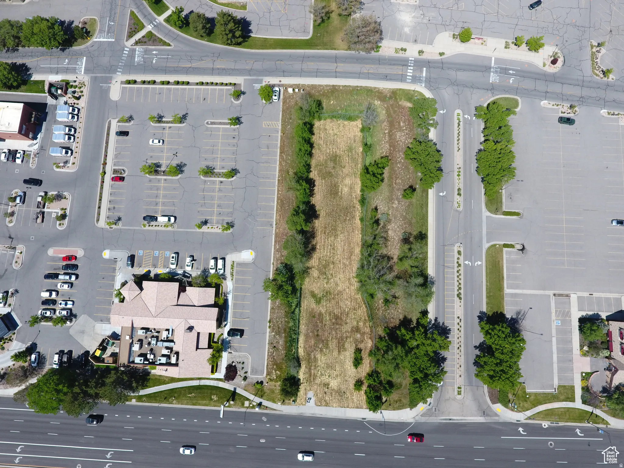 Expansive undeveloped lot featuring natural vegetation