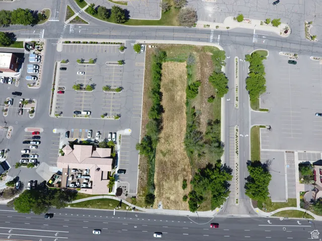 Expansive undeveloped lot featuring natural vegetation