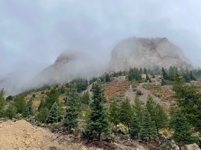 Mountain terrain featuring diverse evergreen foliage and exposed rock formations