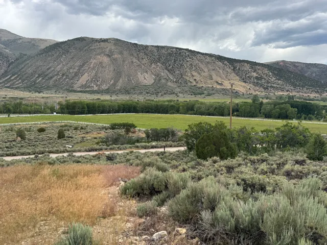 Expansive open landscape featuring a distant mountain range, verdant green fields, and a foreground of natural shrubbery
