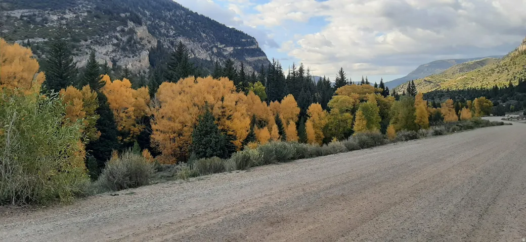Expansive natural landscape featuring a gravel road, diverse tree coverage including vibrant yellow foliage, and rugged mountain terrain under a cloudy sky
