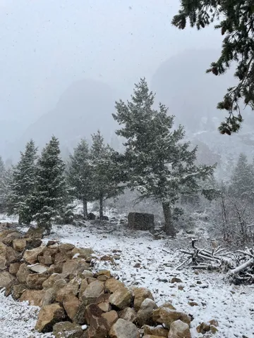 SEASONAL WINTER SQUIZ