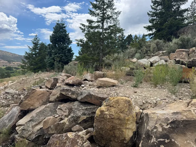 Rocky terrain with natural boulders, interspersed with sparse vegetation and evergreen trees