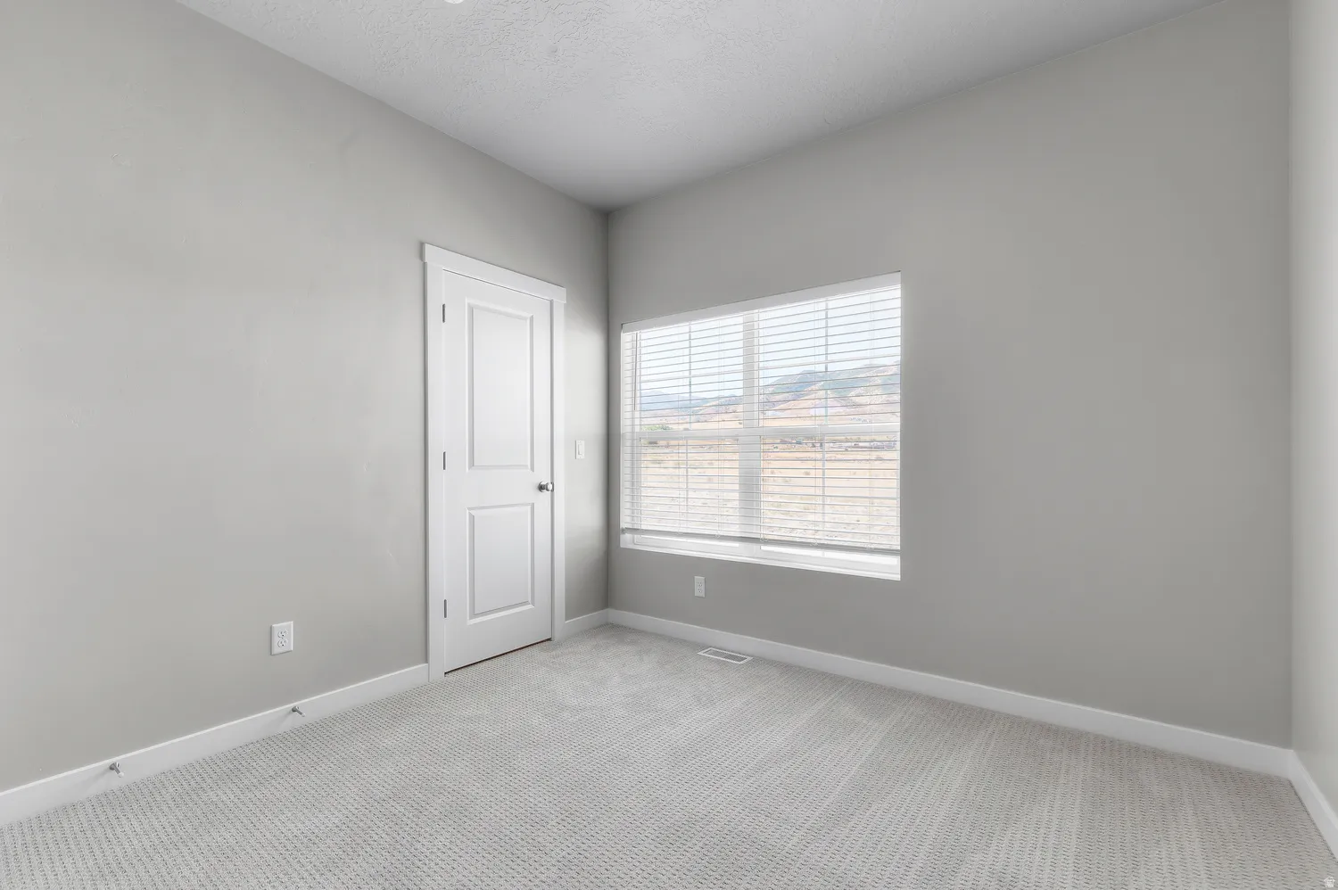 Light gray wall paint, white trim, light gray carpet flooring, white paneled door, horizontal blinds