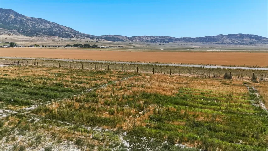 Expansive land parcel featuring natural grasses and a distant mountain range