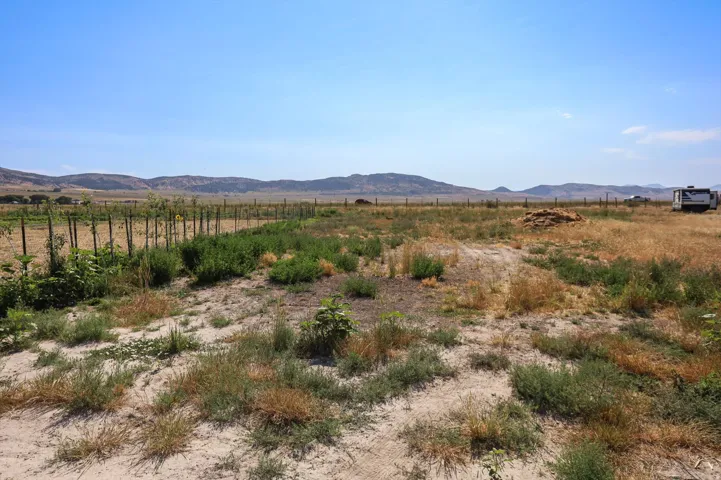 Expansive open land featuring diverse vegetation and distant mountain ranges