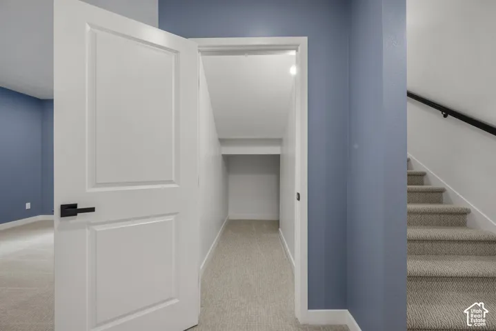 Under-stair storage area with shelving, light-toned carpeting, white trim, and a white paneled door with matte black hardware