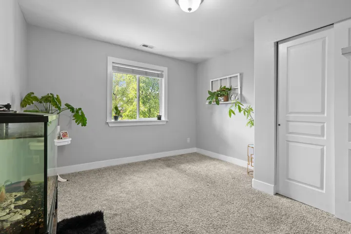 Carpeted room featuring a white-trimmed window, light grey walls, white baseboards, and a flush-mount ceiling light