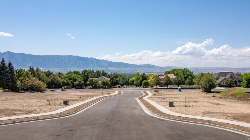 Developed residential street with paved roadway and concrete sidewalks
