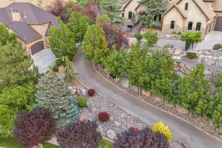 Winding concrete driveway bordered by mature trees and varied landscaping
