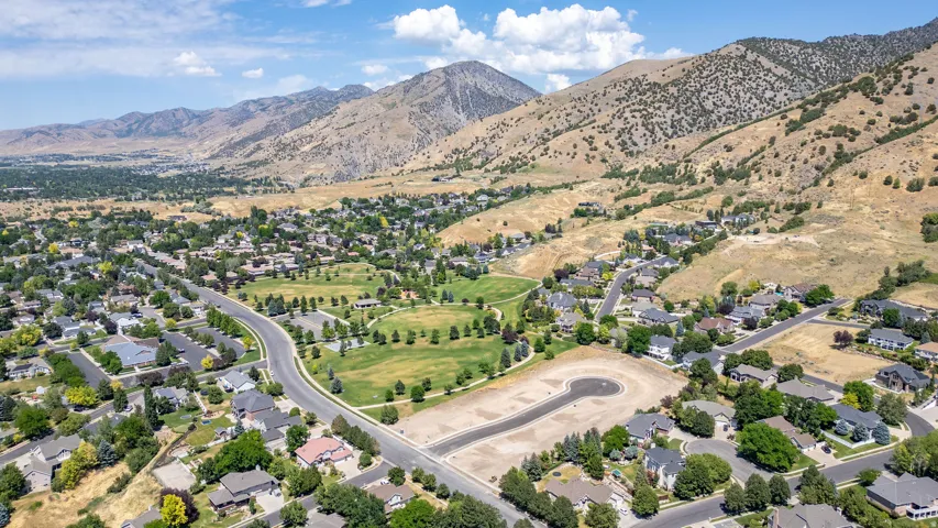 Expansive aerial perspective showcasing a developed residential area with numerous single-family homes, mature trees, and a central green space