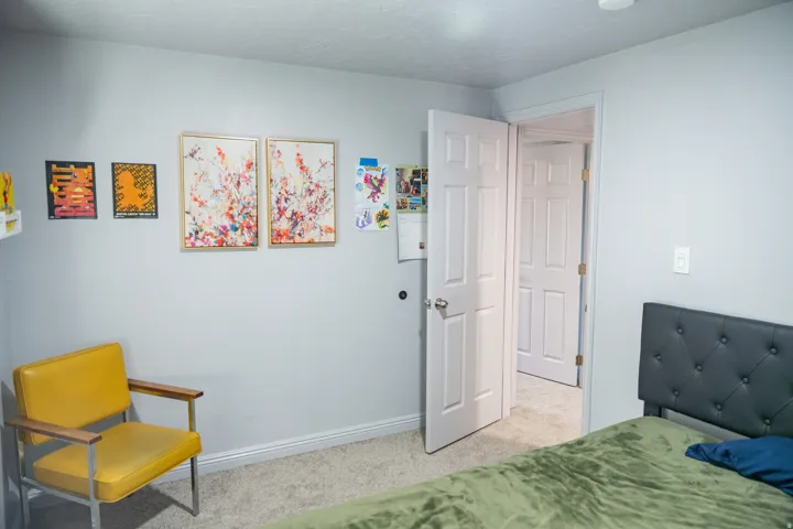 Carpeted interior room with light gray wall paint and white trim