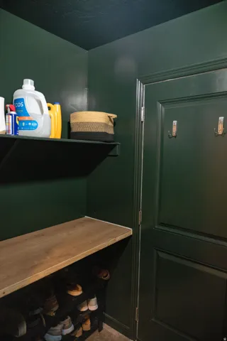Built-in shelving with wood-finish surface and wall-mounted storage rack, complemented by deep green painted walls and a matching paneled door with attached hooks