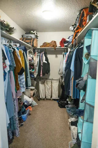 Carpeted walk-in closet featuring built-in shelving, clothing rods, and a flush-mount ceiling light fixture