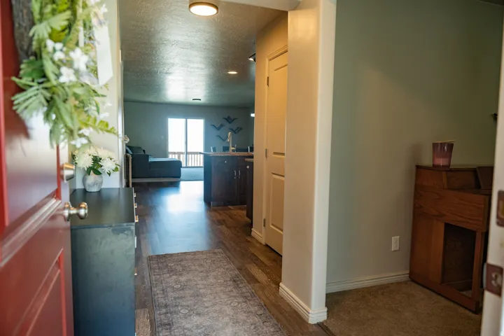 Entryway with wood-finish flooring extending into the main living areas