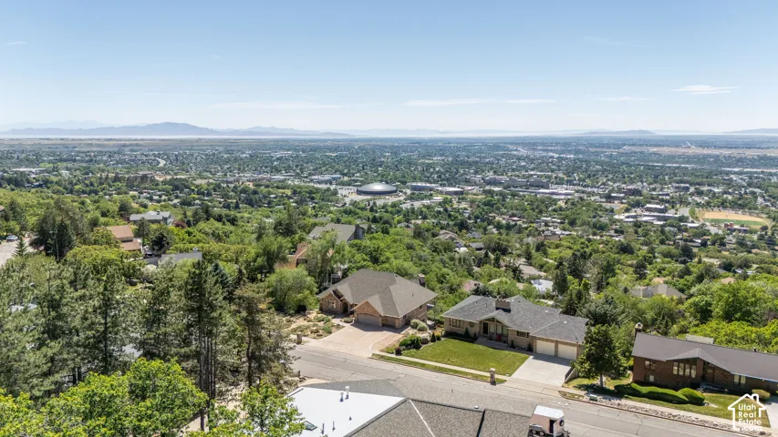 Elevated residential setting with mature trees and a broad cityscape horizon