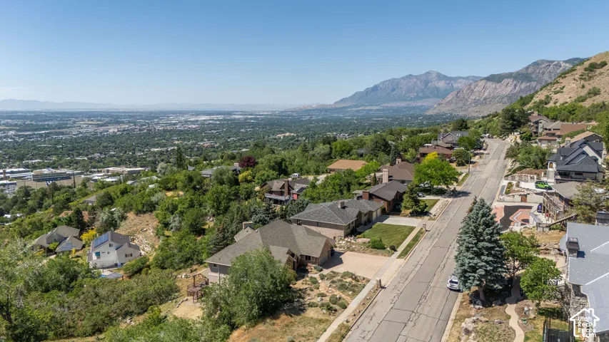 Hillside neighborhood featuring mature trees and established residences