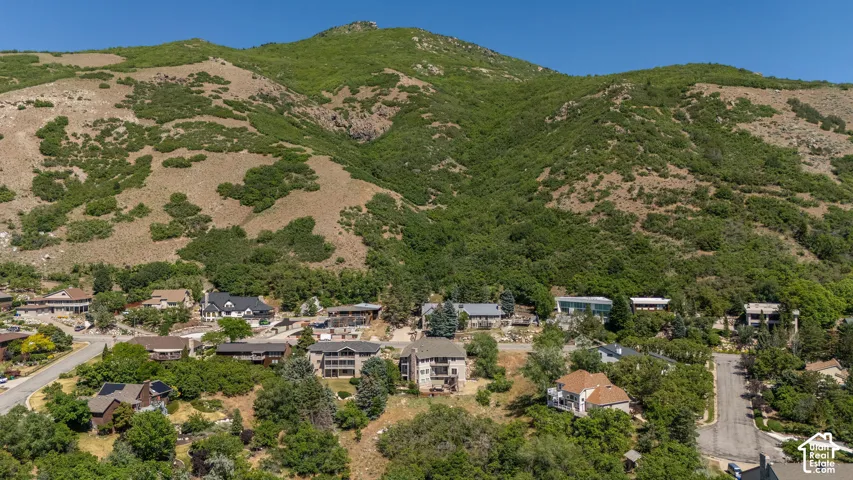 Residential properties nestled among abundant mature trees, set against a backdrop of a verdant mountain