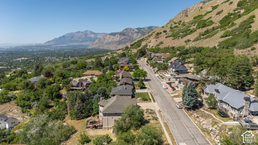 Expansive aerial perspective showcasing a residential street bordered by a verdant mountain slope