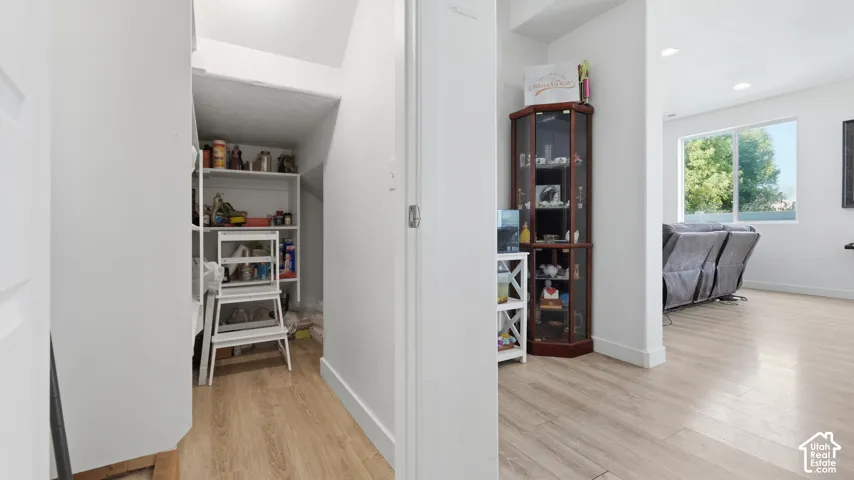 Hallway/storage nook: Under-stair storage closet with built-in shelving, off a hallway leading to the main living area.