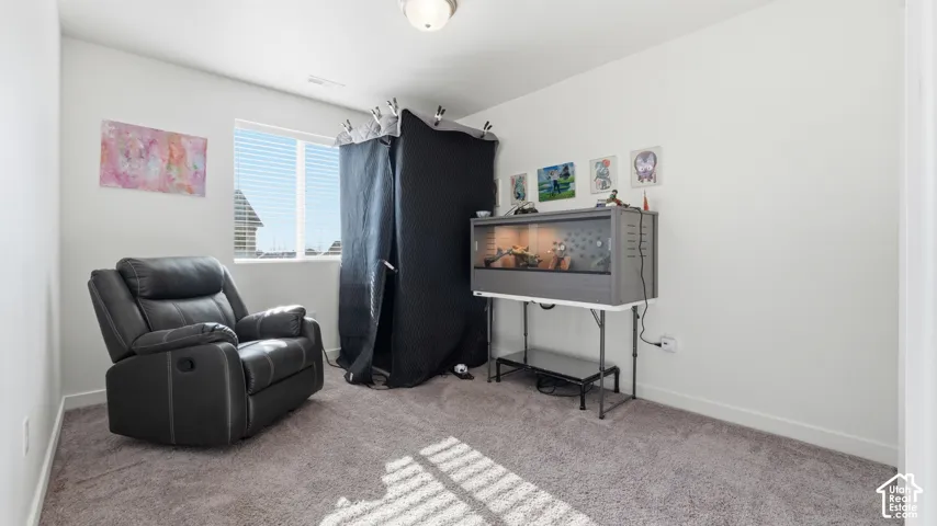 Carpeted bedroom with a window offering natural light.