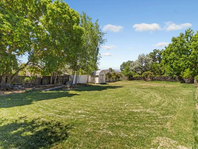 Expansive green lawn with mature trees providing shade