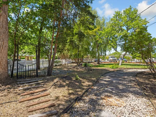 Expansive natural landscaping featuring mature trees and a gravel pathway