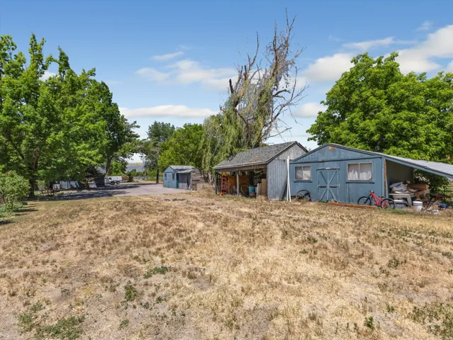Expansive property featuring multiple storage structures, mature trees, and a gravel driveway