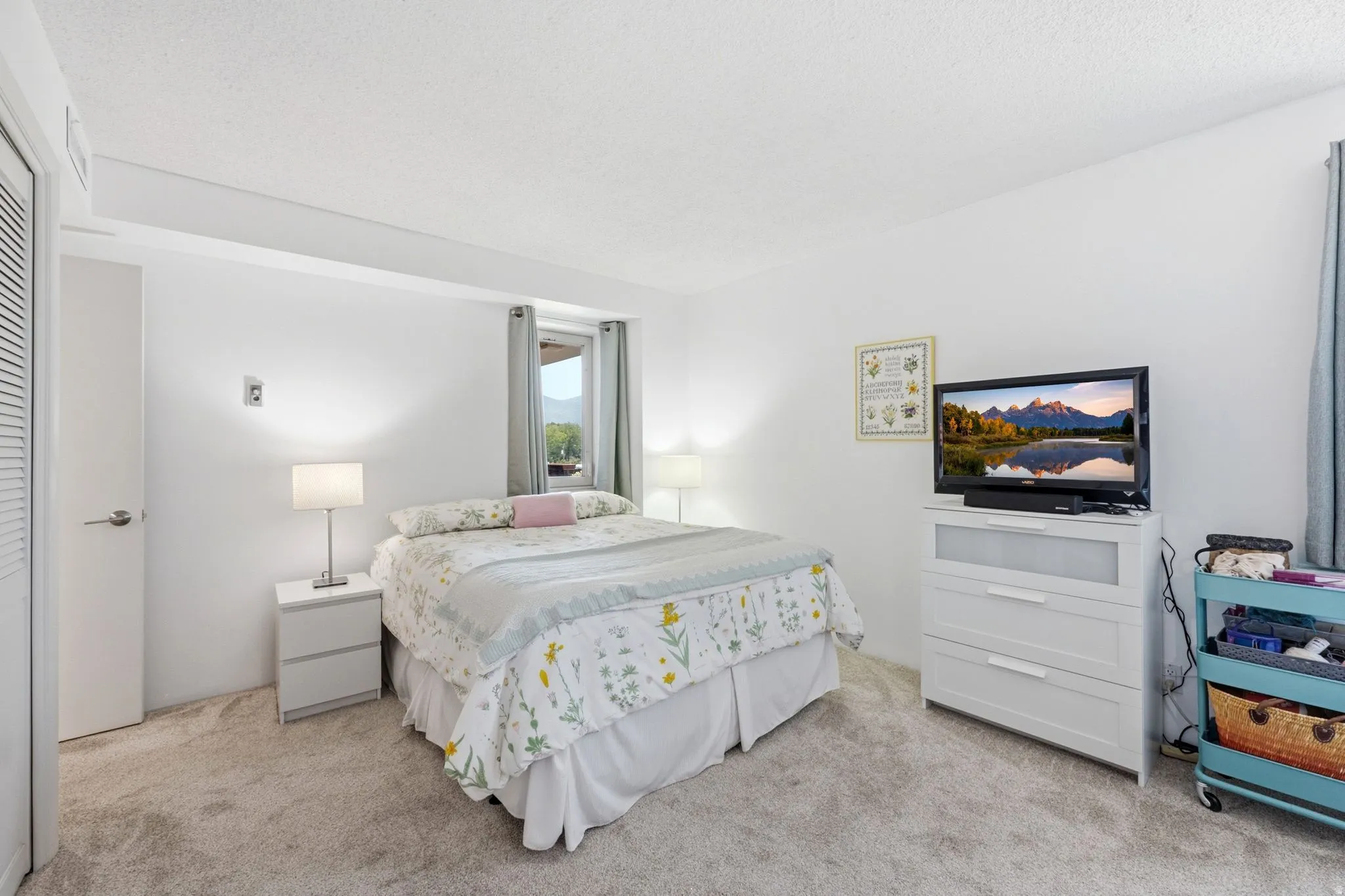 Spacious bedroom featuring light-toned carpet flooring, bright white walls, and a window with mountain scenery