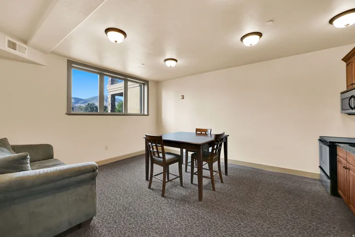 Community Room on Level V: 200  (View): Living area featuring a window with a mountain backdrop, patterned carpet, recessed lighting, and a compact kitchen area with wood cabinetry and stainless steel appliances