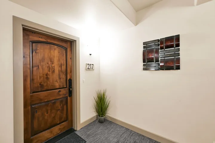 Condo Entry 2nd Floor on Level V: 200 (View) Hardwood entry door with arched paneling and dark hardware