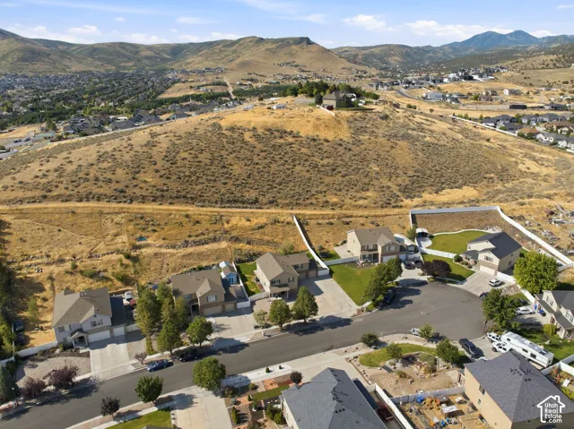 Residential neighborhood with single-family homes and landscaped yards