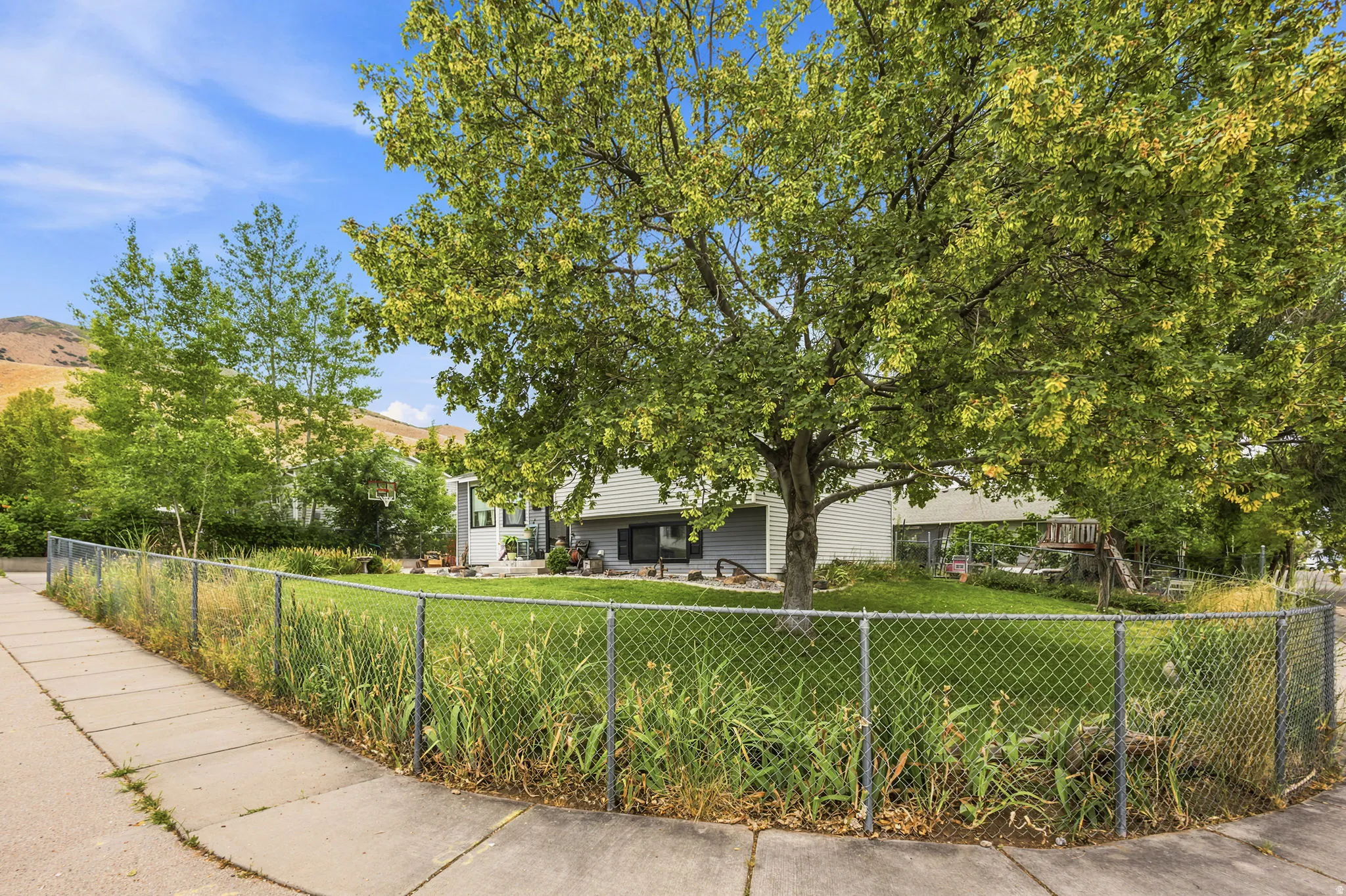 Fenced front yard featuring a mature shade tree, lush green lawn, and concrete sidewalk