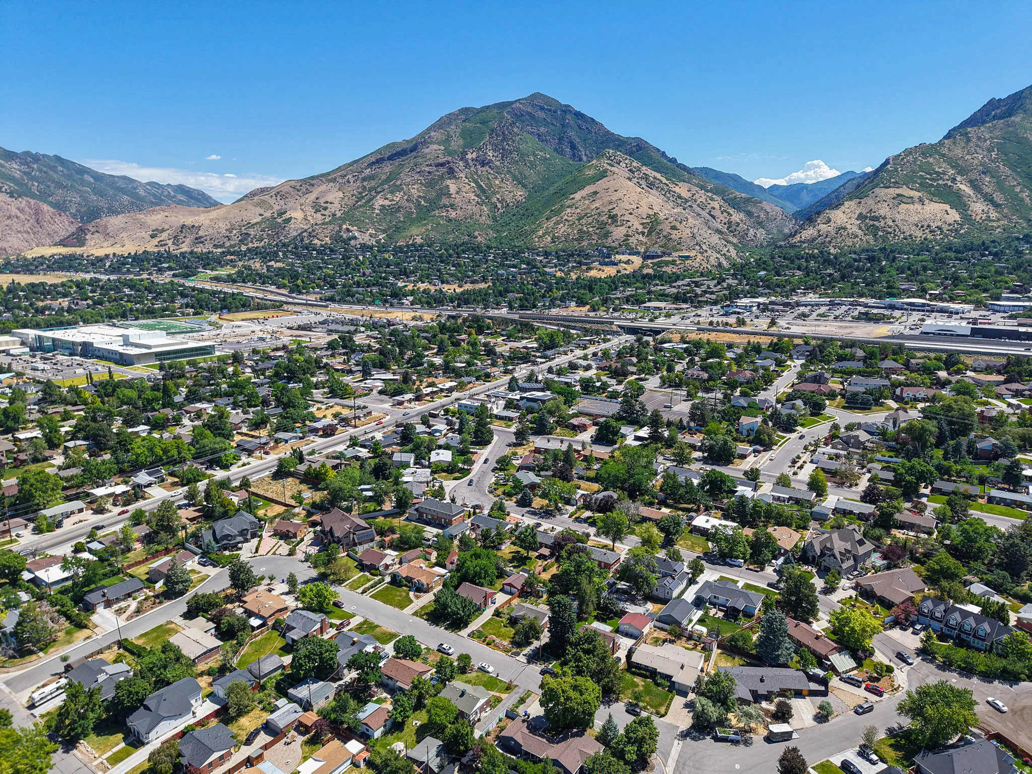 Aerial perspective showcasing a residential area with mature trees and a distant mountain backdrop