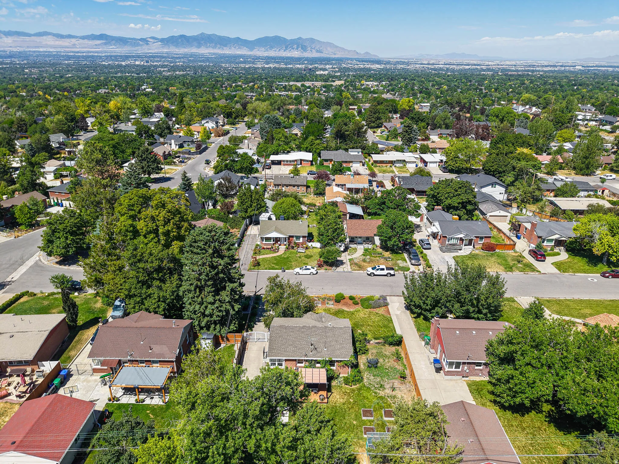 Expansive neighborhood landscape featuring mature trees and mountain backdrops