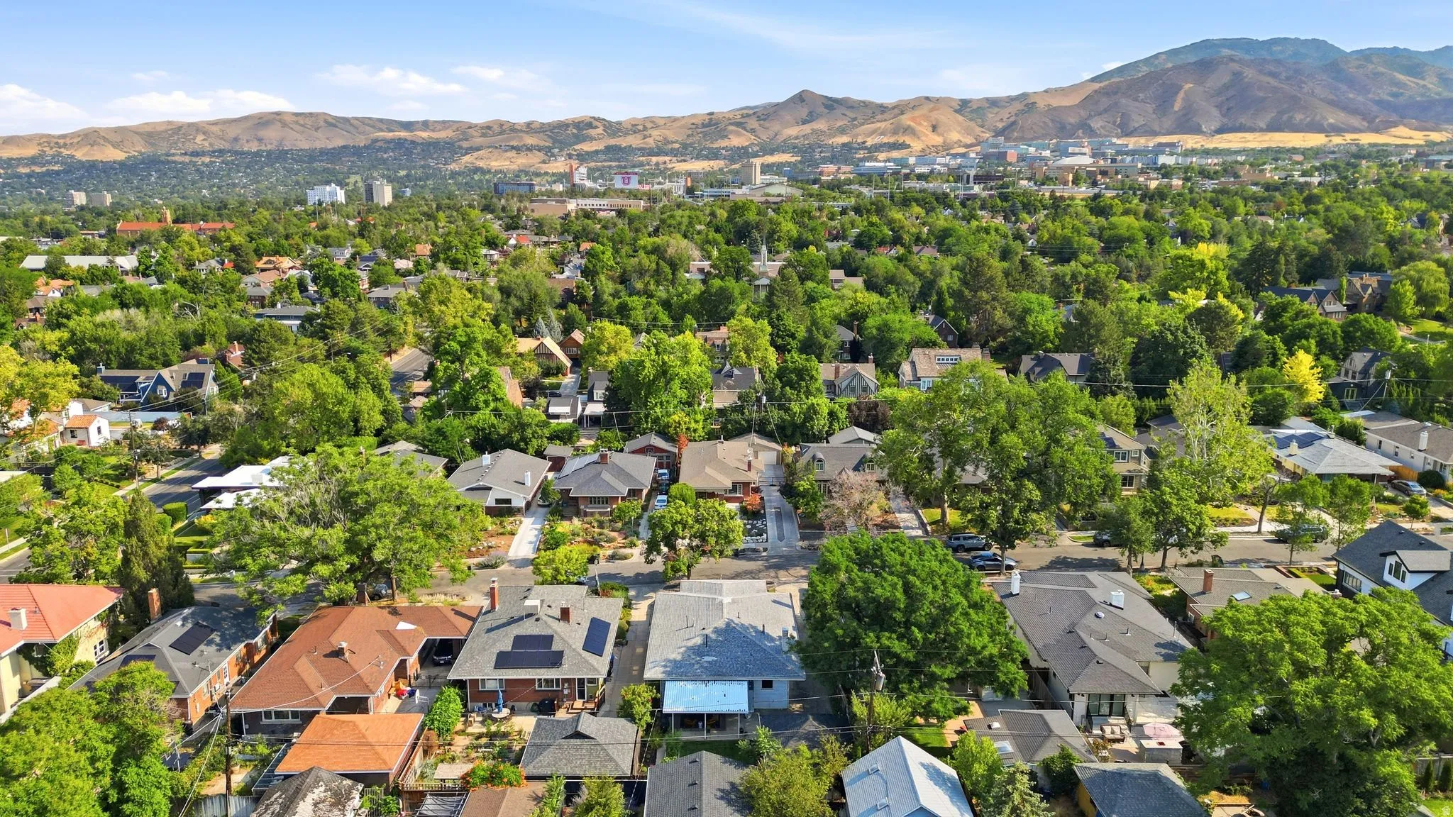 Residential neighborhood featuring mature trees and a distant mountain range
