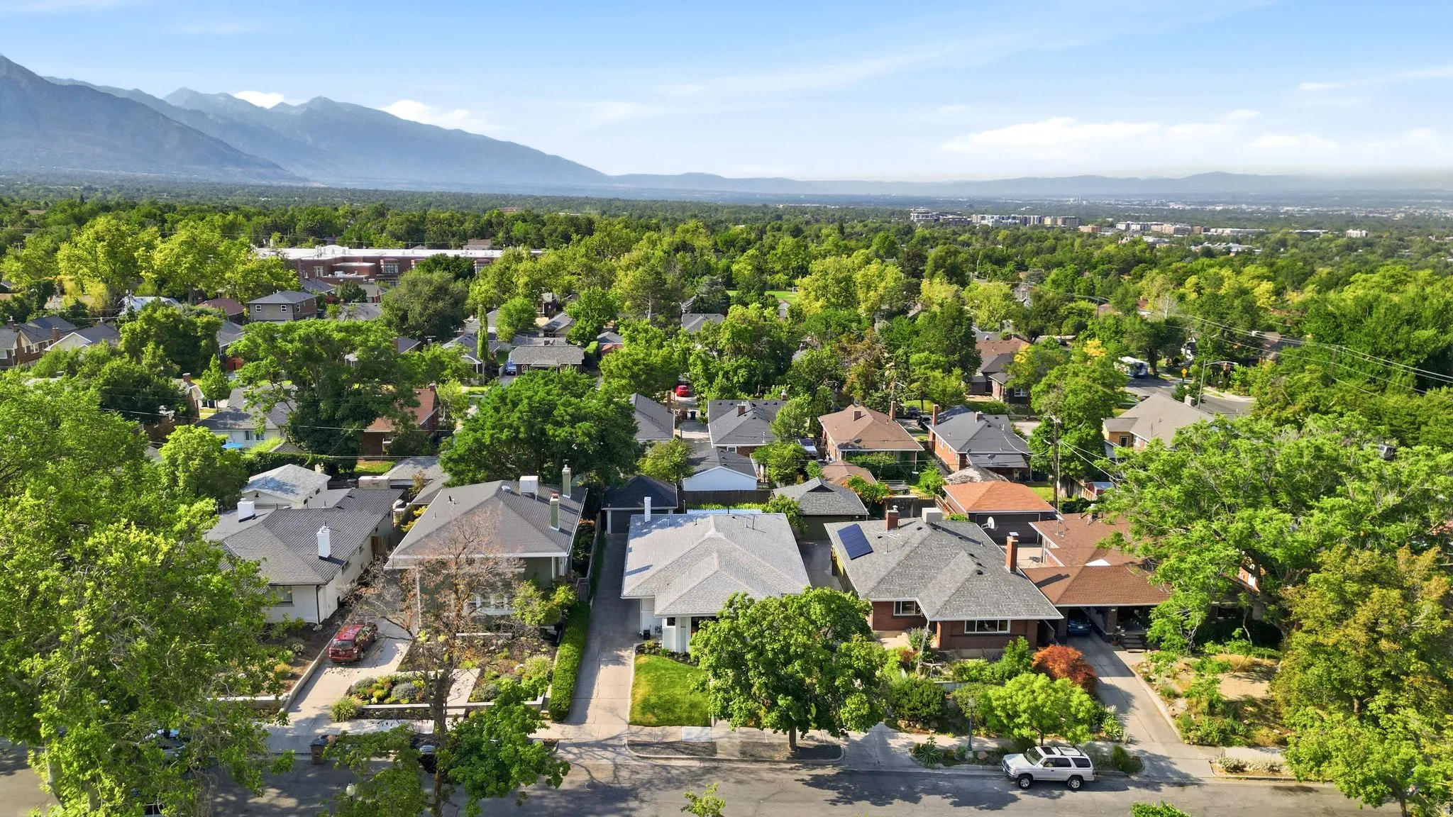 Expansive neighborhood setting featuring mature tree canopies and varied residential architecture