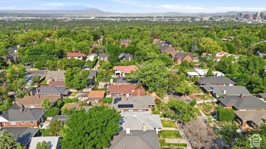 Aerial perspective showcasing a residential area with mature tree coverage