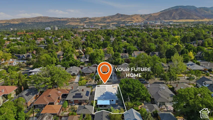 Aerial perspective of a verdant neighborhood with a mountain backdrop
