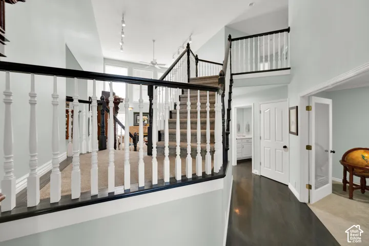 Two-story foyer featuring a carpeted staircase with white balusters and black handrails, a second-story landing, a wood-finish floor, and a white paneled door