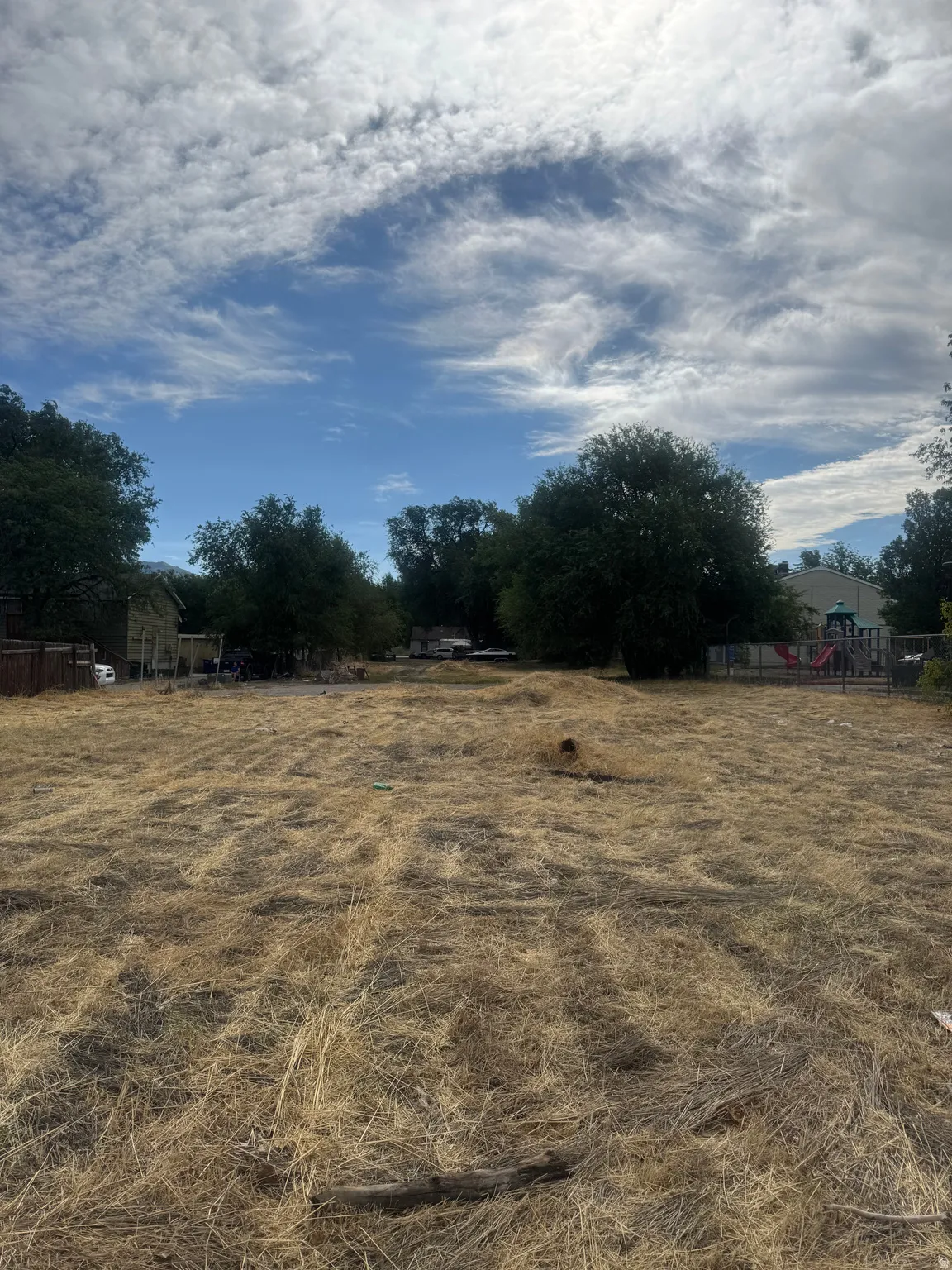 Expansive land parcel featuring natural ground cover and mature perimeter trees