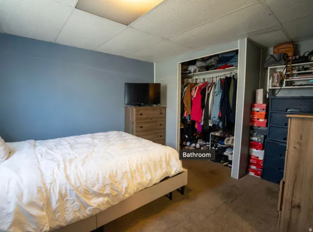 Bedroom featuring blue painted walls, drop ceiling, and carpeted flooring