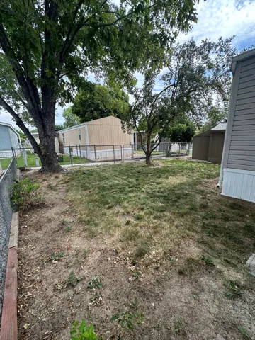 Private backyard space featuring a chain-link fence, mature trees providing shade, and a storage shed