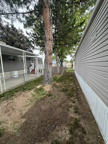 Side yard with established trees, chain-link fencing, and a gravel path
